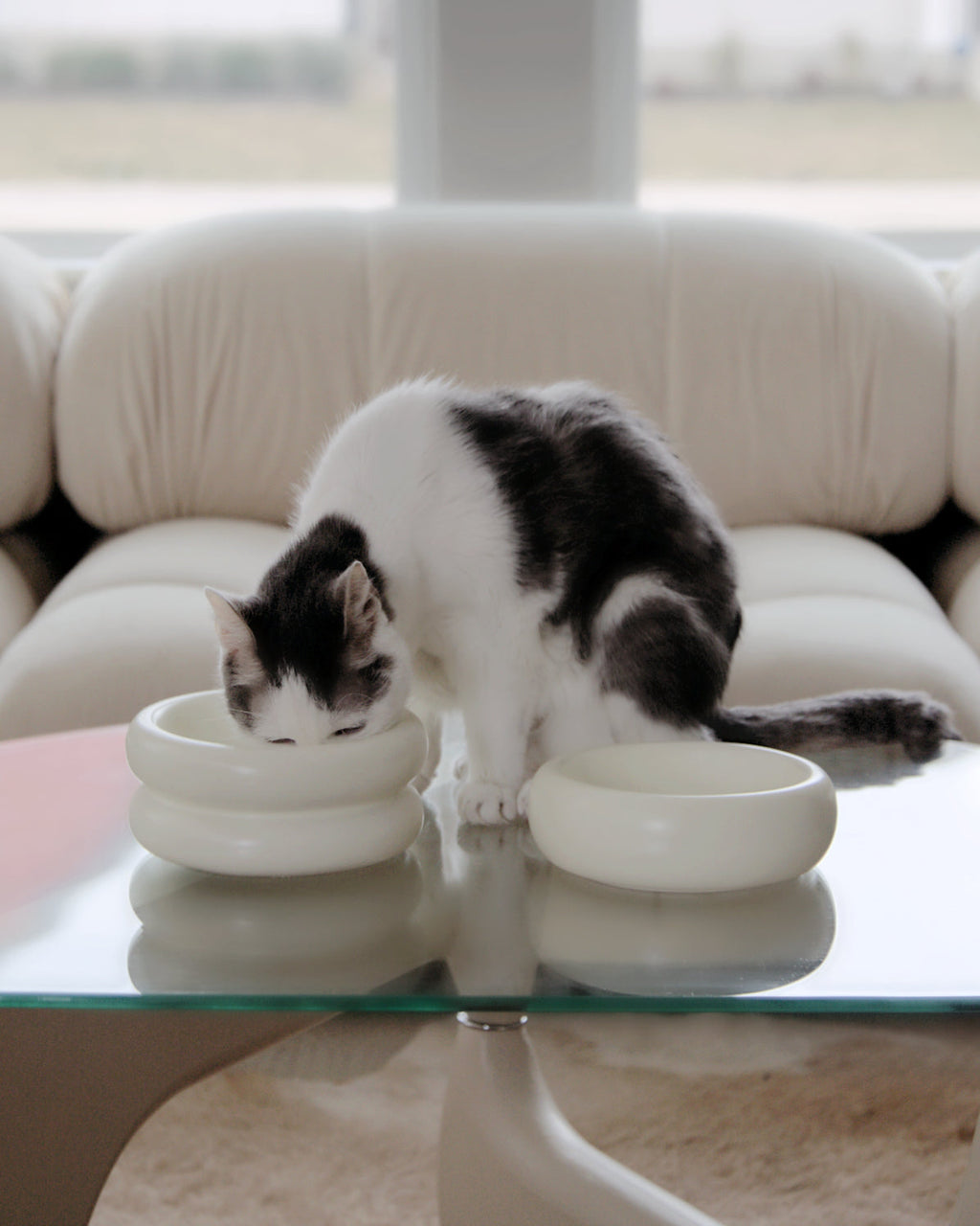 Catenary Halo Elevated Pet Bowl