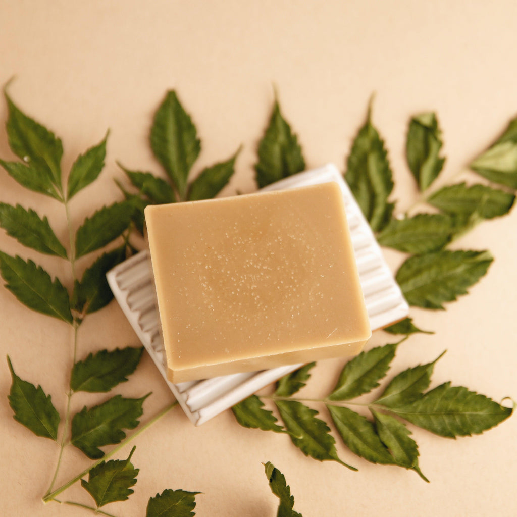 Natural Bar Soap: Forest Bathing