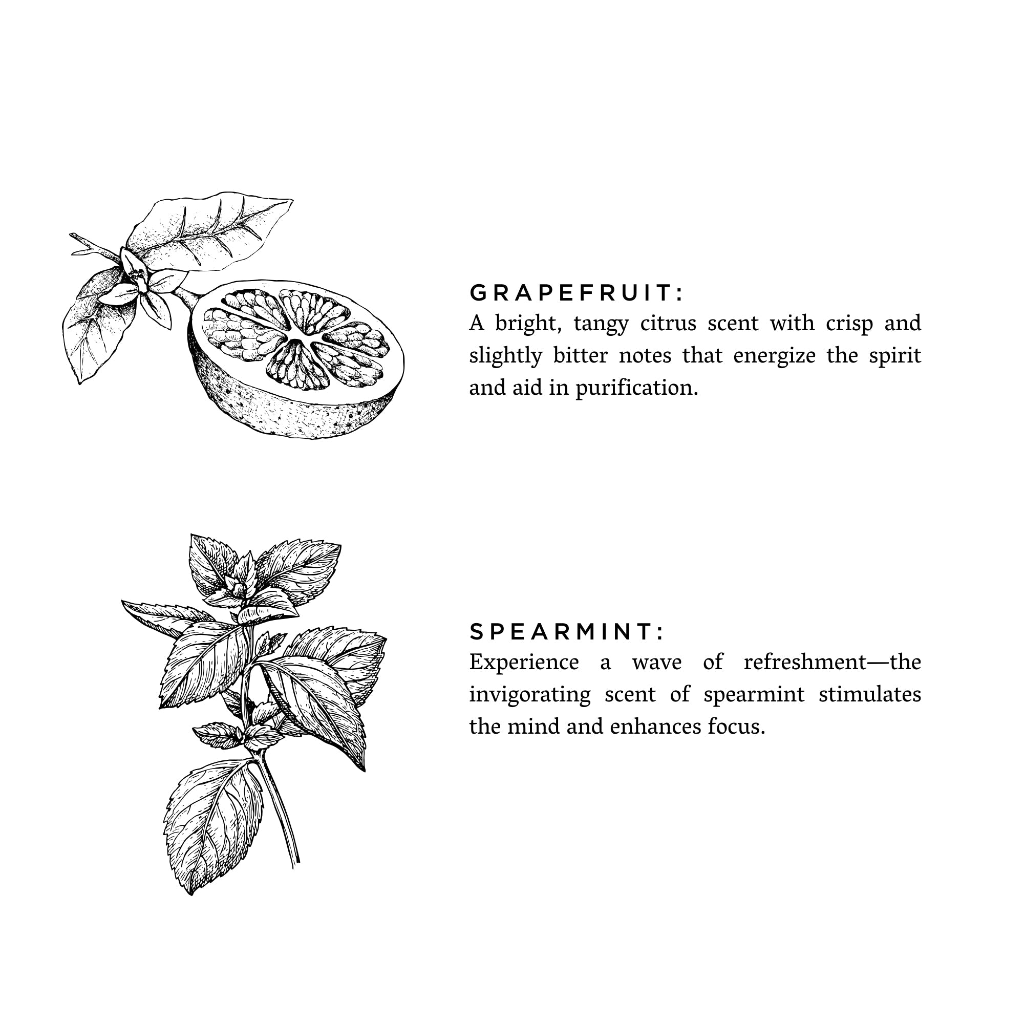 Grapefruit + Spearmint - Reed Diffuser