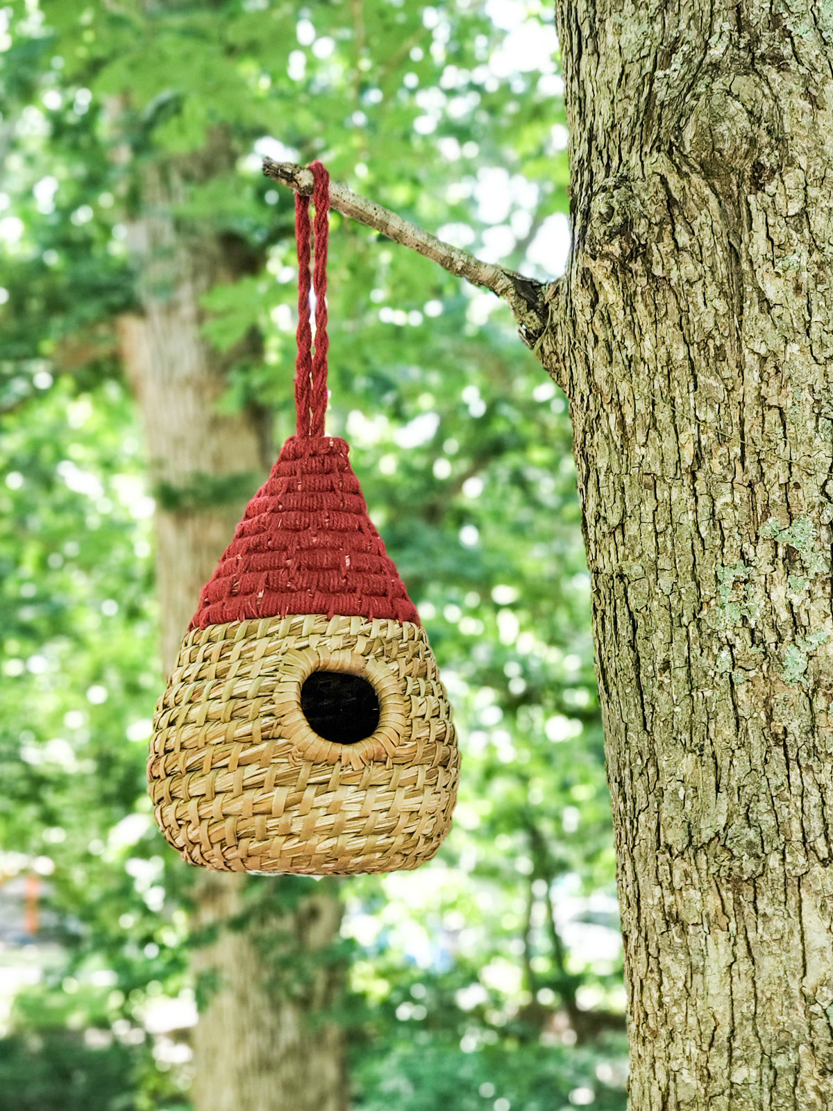Seagrass Dewdrop Birdhouse
