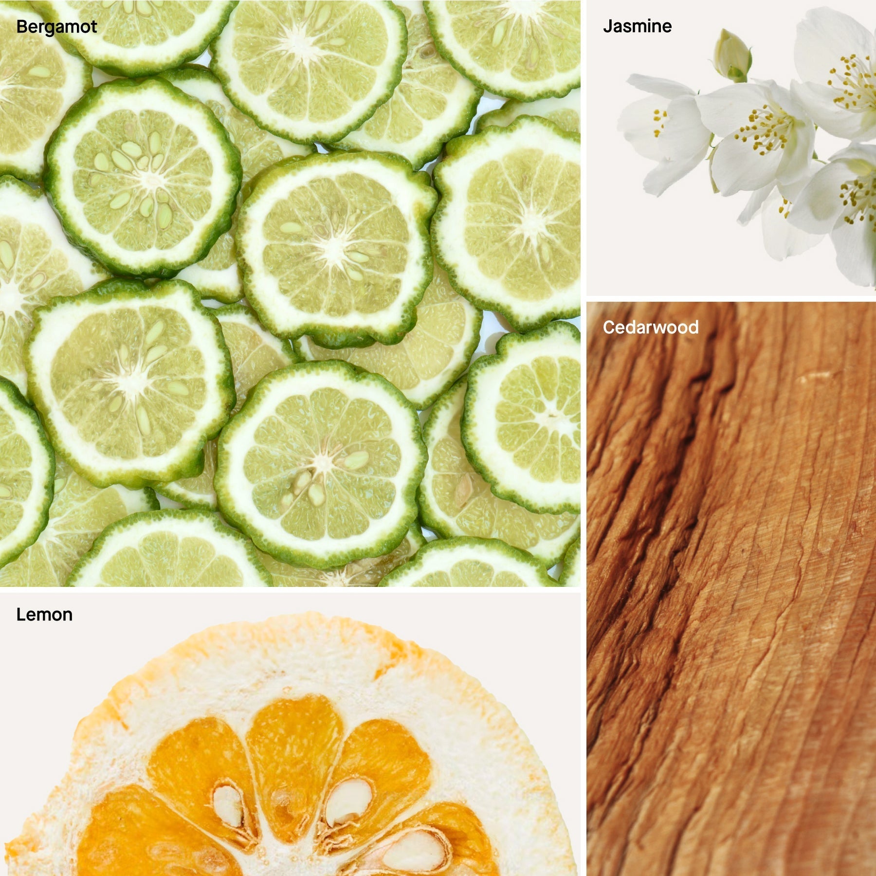 ROOM & LINEN SPRAY: CEDAR I BERGAMOTE
