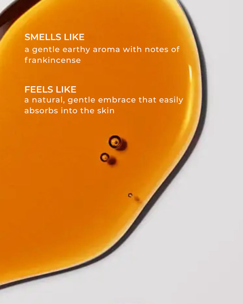 All-in-One Facial Serum