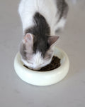 Catenary Halo Ceramic Pet Bowl